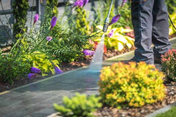 Best Driveway Pressure Washing  in West Portsmouth, OH